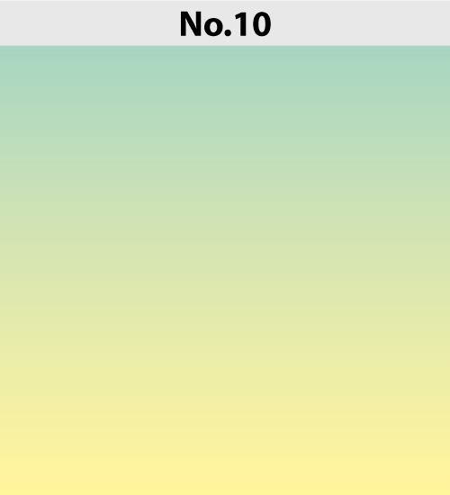 No.10